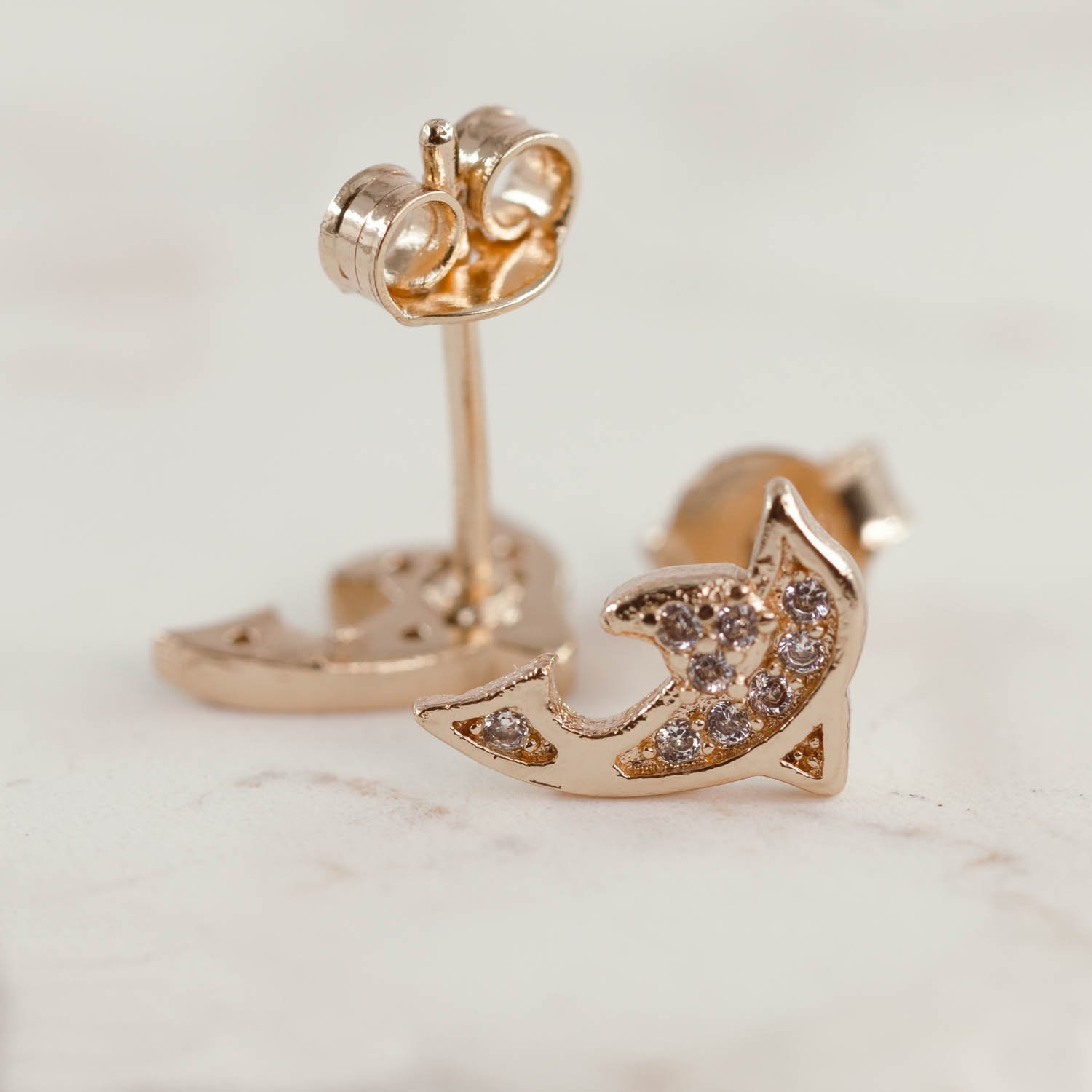 34483-TOPO-DELFIN-CIRCONES.jpg TOPO DELFIN CIRCONES - Imagen 1